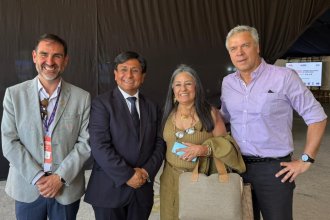 WhatsApp Image 2025-10-09 at 19.18.53.jpeg